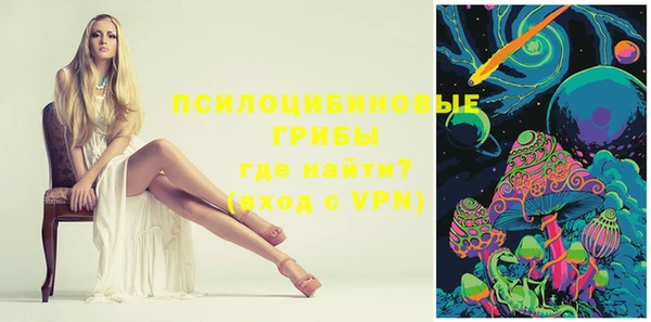 молекула духа Балахна