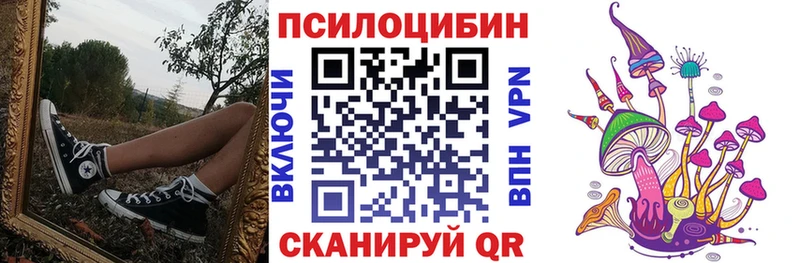 где купить наркоту  Белогорск  Псилоцибиновые грибы Psilocybine cubensis 